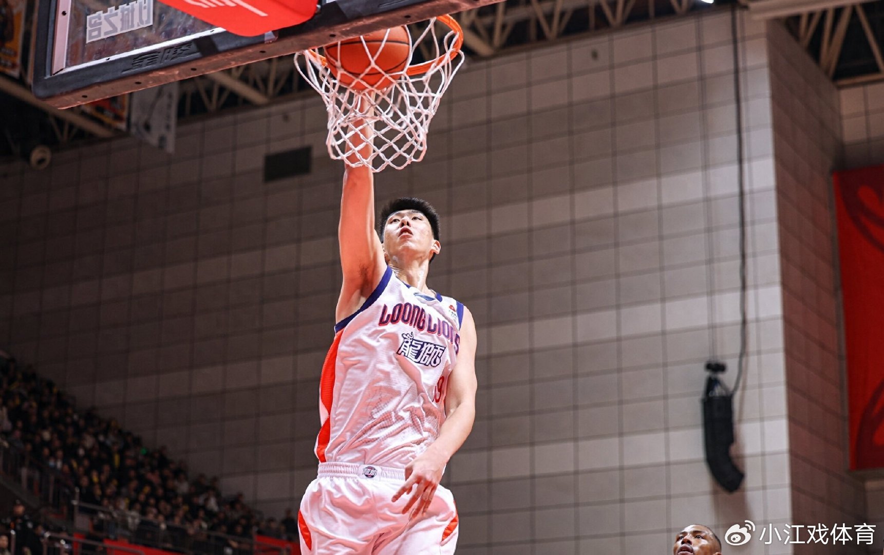 狂胜35分，浙江队打崩广州！郭士强考察徐盺，他成中国内线新希望