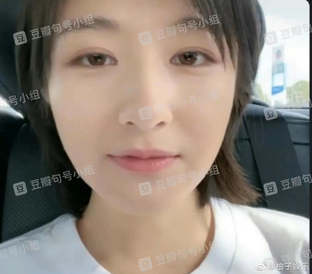疑似张新成李兰迪同游<a href=