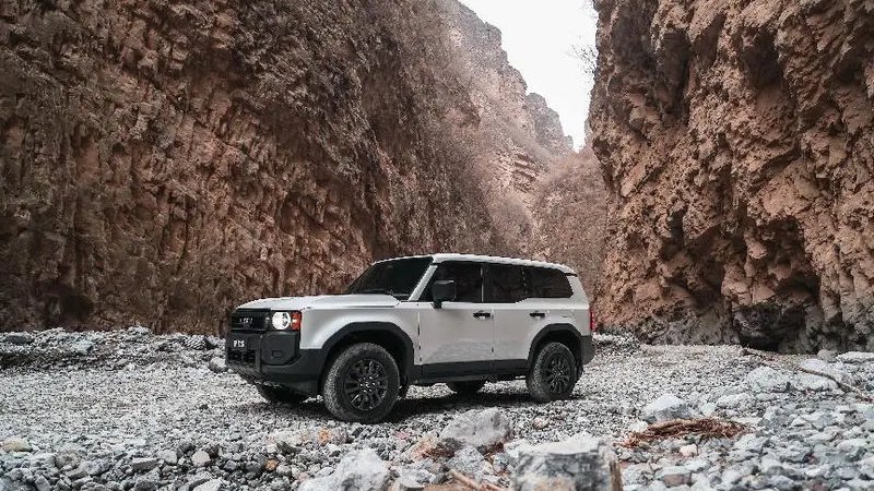 全新普拉多大客户火热交付 五大硬核实力赋能全场景出行