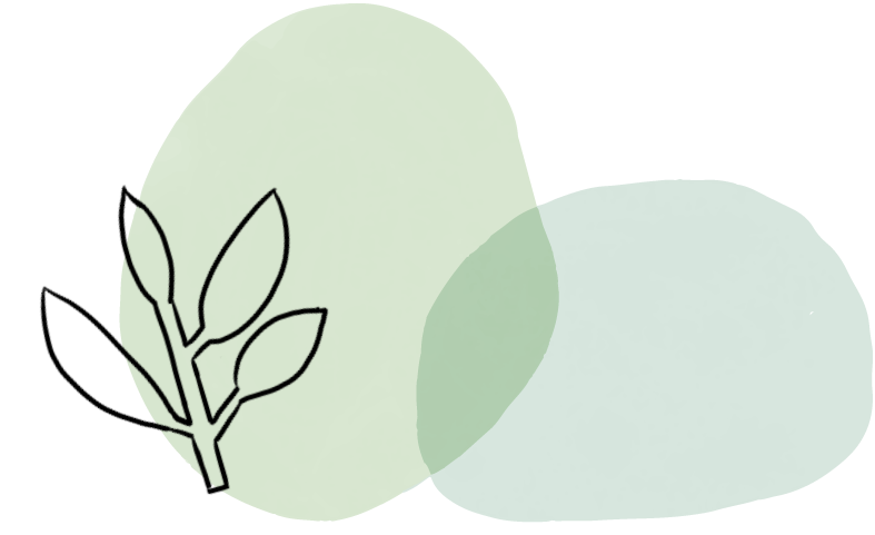 天竺葵的品种介绍及养护指南（天竺葵更好看的品种和代价图片）