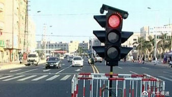 汽车易损件早知道，频换没毛病