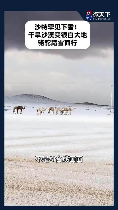 沙特罕见下雪！干旱沙漠变银白大地，骆驼踏雪而行