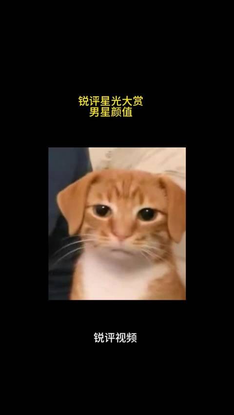 锐评星光大赏男星颜值