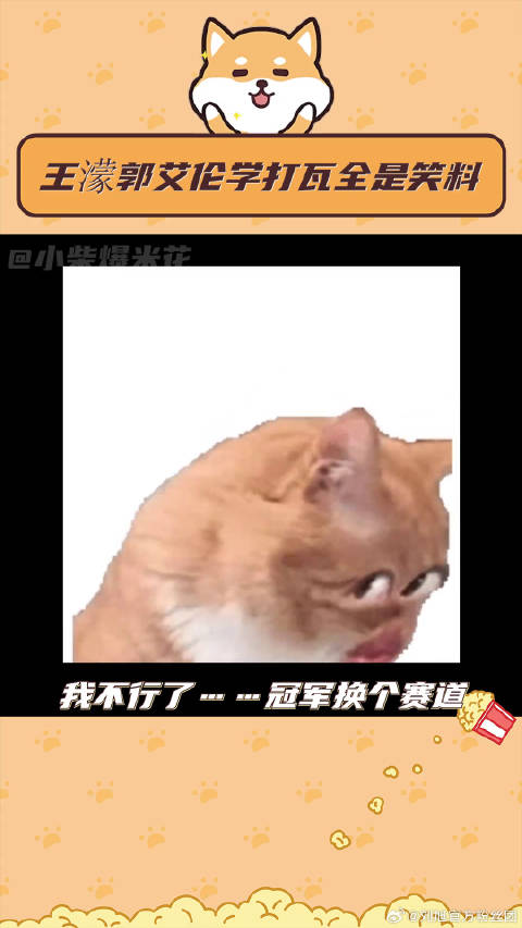 做梦也没想到这两人在一块儿这么有效果啊郭艾伦单挑Hanghang