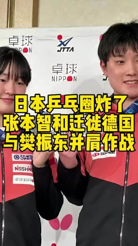 张本智和加盟杜塞尔多夫俱乐部，与樊振东联手征战欧洲乒坛
