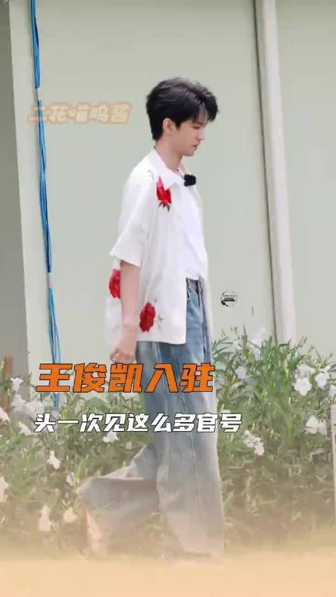 这下有事没事我就要去艾特王哥了