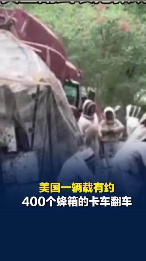 美国一辆载有约400个蜂箱的卡车翻车，200万只蜜蜂逃脱漫天乱飞，当地紧急提醒