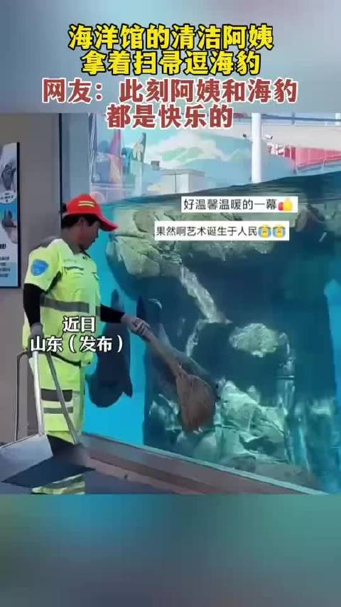 海洋馆的清洁阿姨拿着扫帚逗海豹，网友：此刻阿姨和海豹都是快乐的