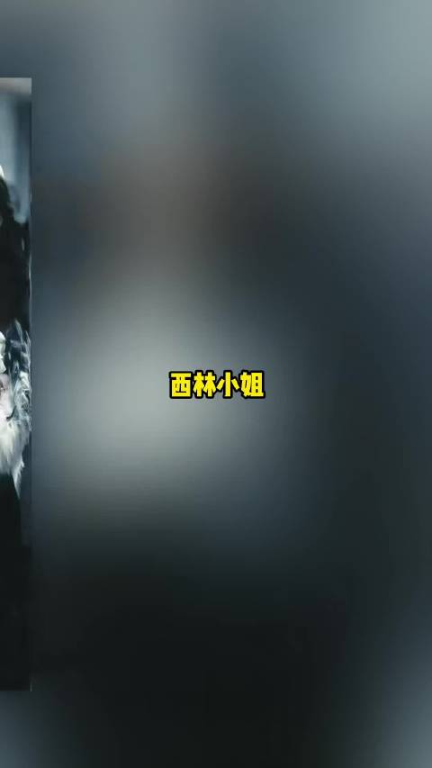 终于知道当初西林为什么被黑了