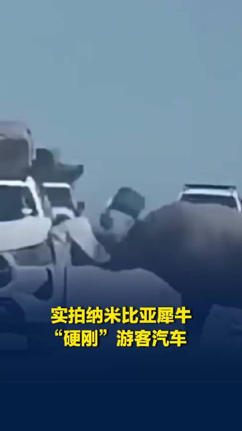 实拍纳米比亚犀牛“硬刚”游客汽车：车辆被顶撞剧烈摇晃，外壳脱落
