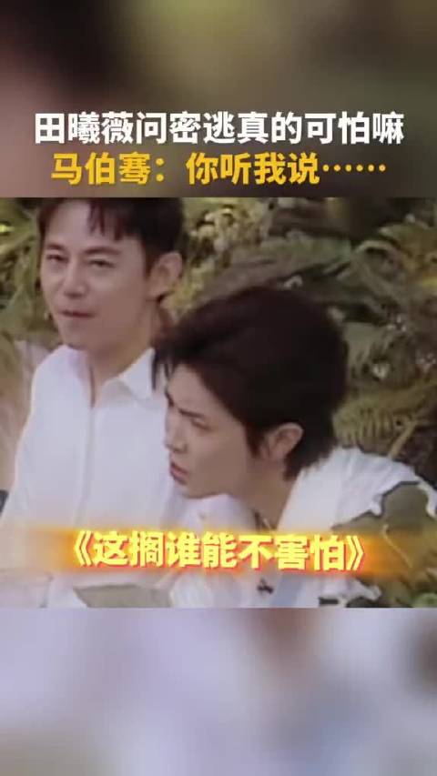 田曦薇问马伯骞《密逃》真的很可怕嘛？陈哲远又被蛐蛐