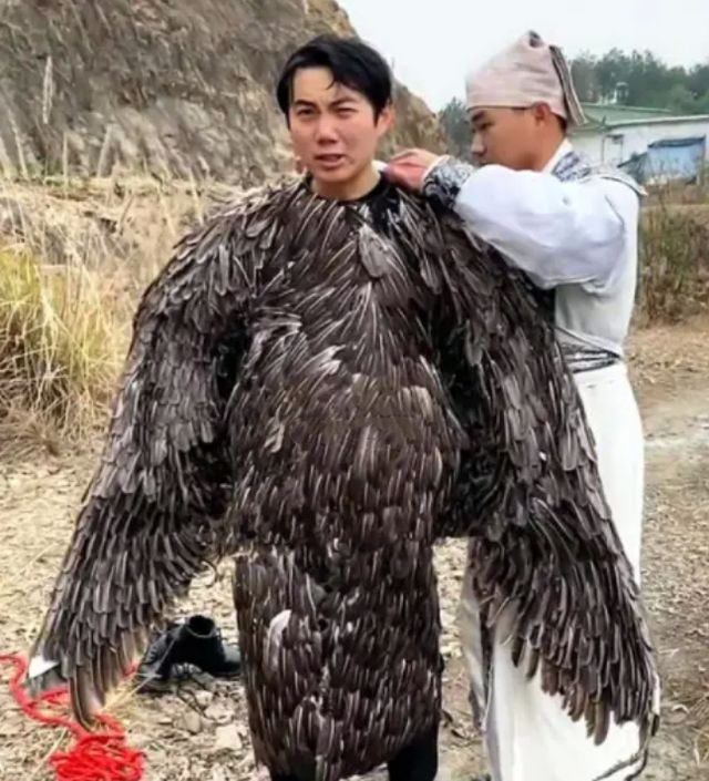 明星的行为艺术:赚大钱卖惨,而《神雕侠侣》的"雕"日薪1千元