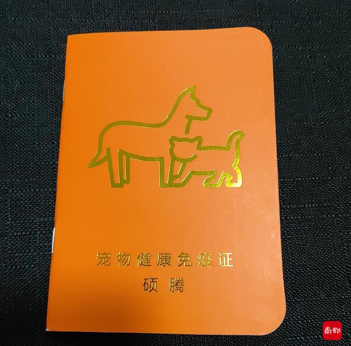 各方回应南都“假宠物免疫证”调查!电商平台已下架问题商品休闲区蓝鸢梦想 - Www.slyday.coM 各方回应南都“假宠物免疫证”调查!电商平台已下架问题商品休闲区蓝鸢梦想 - Www.slyday.coM