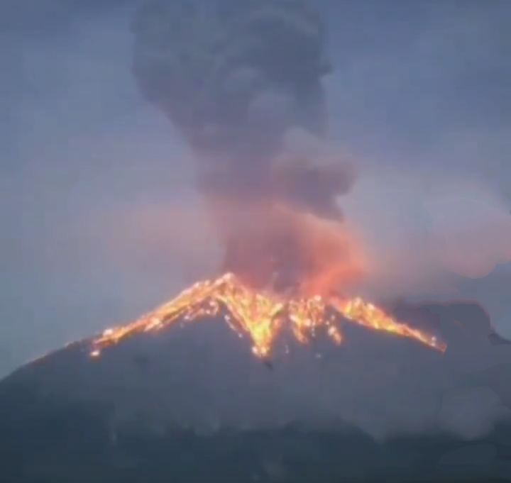 日本四座火山齐喷发,大量沙丁鱼涌上海滩,群鸟惊飞,真要地震吗休闲区蓝鸢梦想 - Www.slyday.coM 日本四座火山齐喷发,大量沙丁鱼涌上海滩,群鸟惊飞,真要地震吗休闲区蓝鸢梦想 - Www.slyday.coM