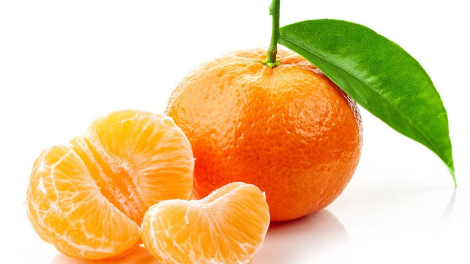 人间真龙现身东南亚？泰国沼泽发现绿毛蛇：浑身长满了...