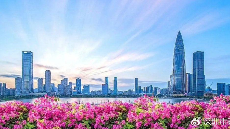 深圳建设法治先行示范城市三周年，首批11项经验成果面向全省推广|前海|法治|法治建设_新浪新闻