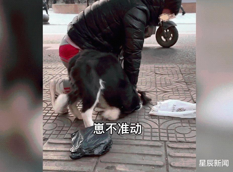 四川一女子被自家小狗咬伤,当街压住狗头教训:今天就教你咋做狗休闲区蓝鸢梦想 - Www.slyday.coM 四川一女子被自家小狗咬伤,当街压住狗头教训:今天就教你咋做狗休闲区蓝鸢梦想 - Www.slyday.coM