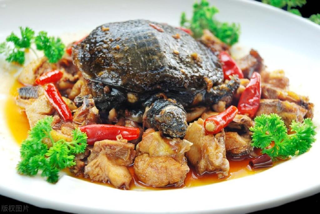 这种鱼出生时还没虾米大，同类残食，胜利者将成为海洋...