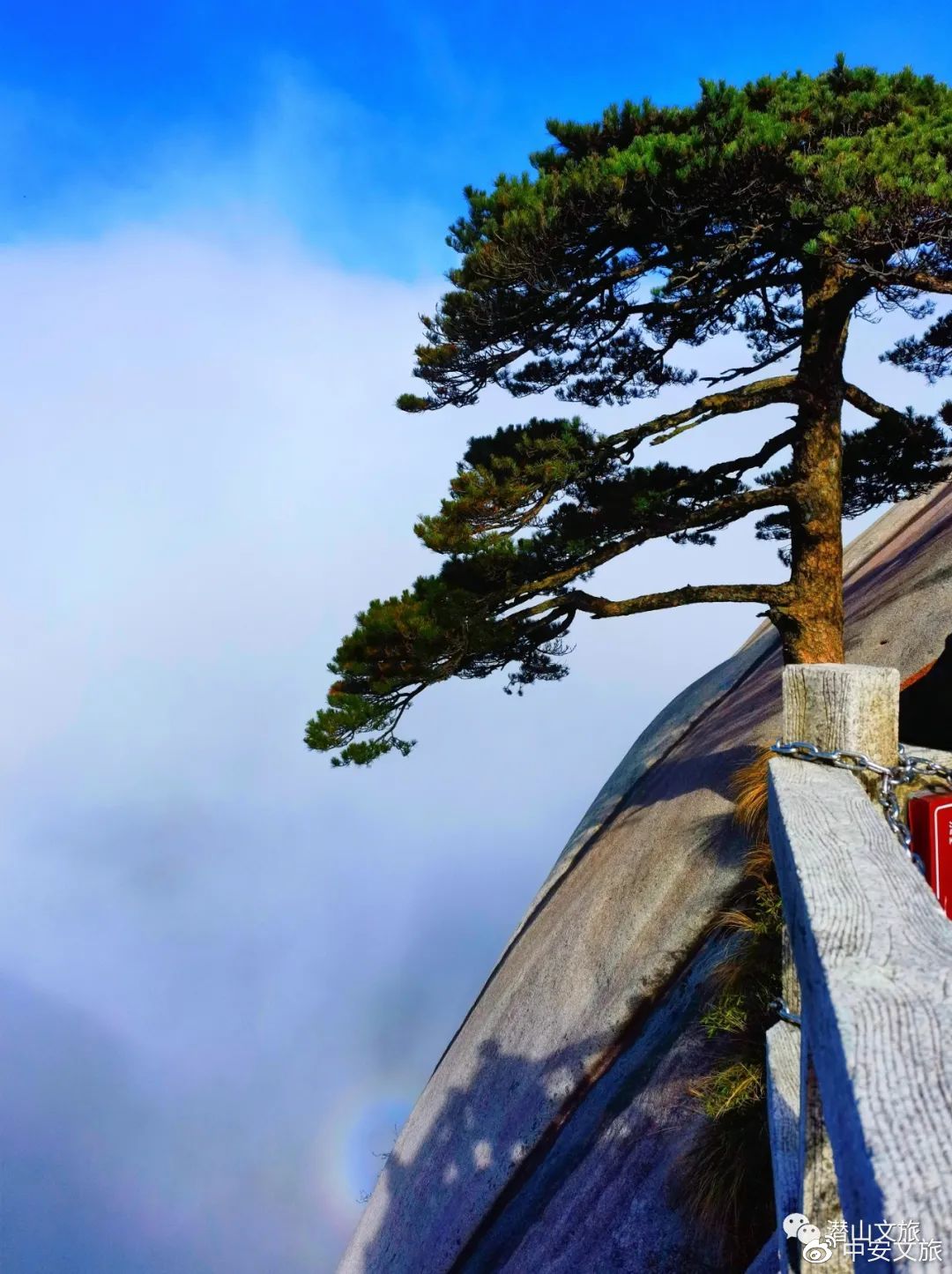 漳州附近一百元三小时上门服务 有哪些内容值得关注