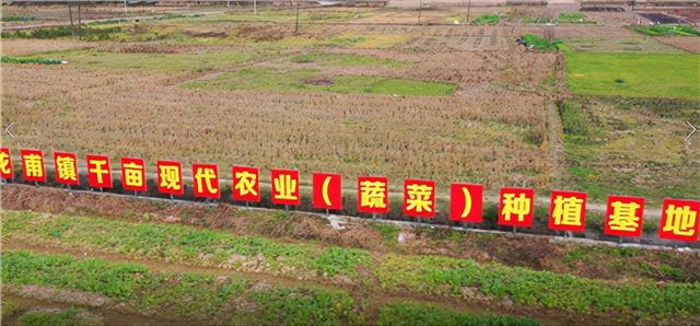 广东四会龙甫镇:举行“乡村振兴”2022年开局起步赶考启动仪式休闲区蓝鸢梦想 - Www.slyday.coM 广东四会龙甫镇:举行“乡村振兴”2022年开局起步赶考启动仪式休闲区蓝鸢梦想 - Www.slyday.coM