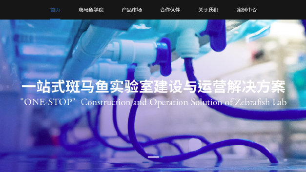 全国空降二维码现象全解析：小白也能懂的技术革命