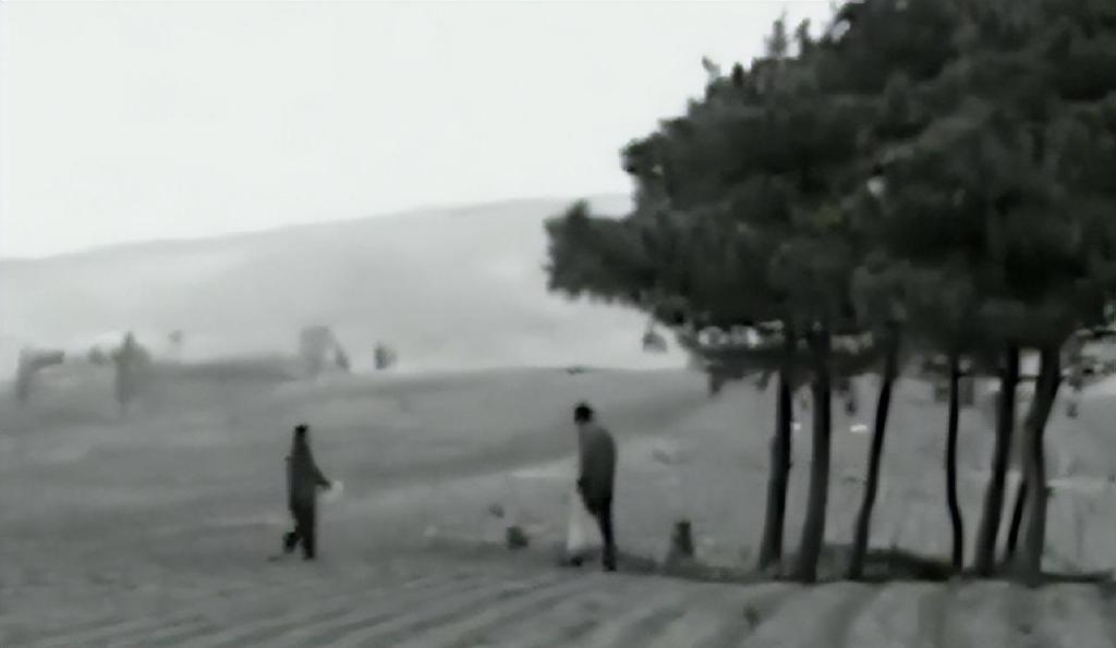 1995年，吉林农妇好心救毒蛇，多次放生却赖着不走，一养就是12年休闲区蓝鸢梦想 - Www.slyday.coM