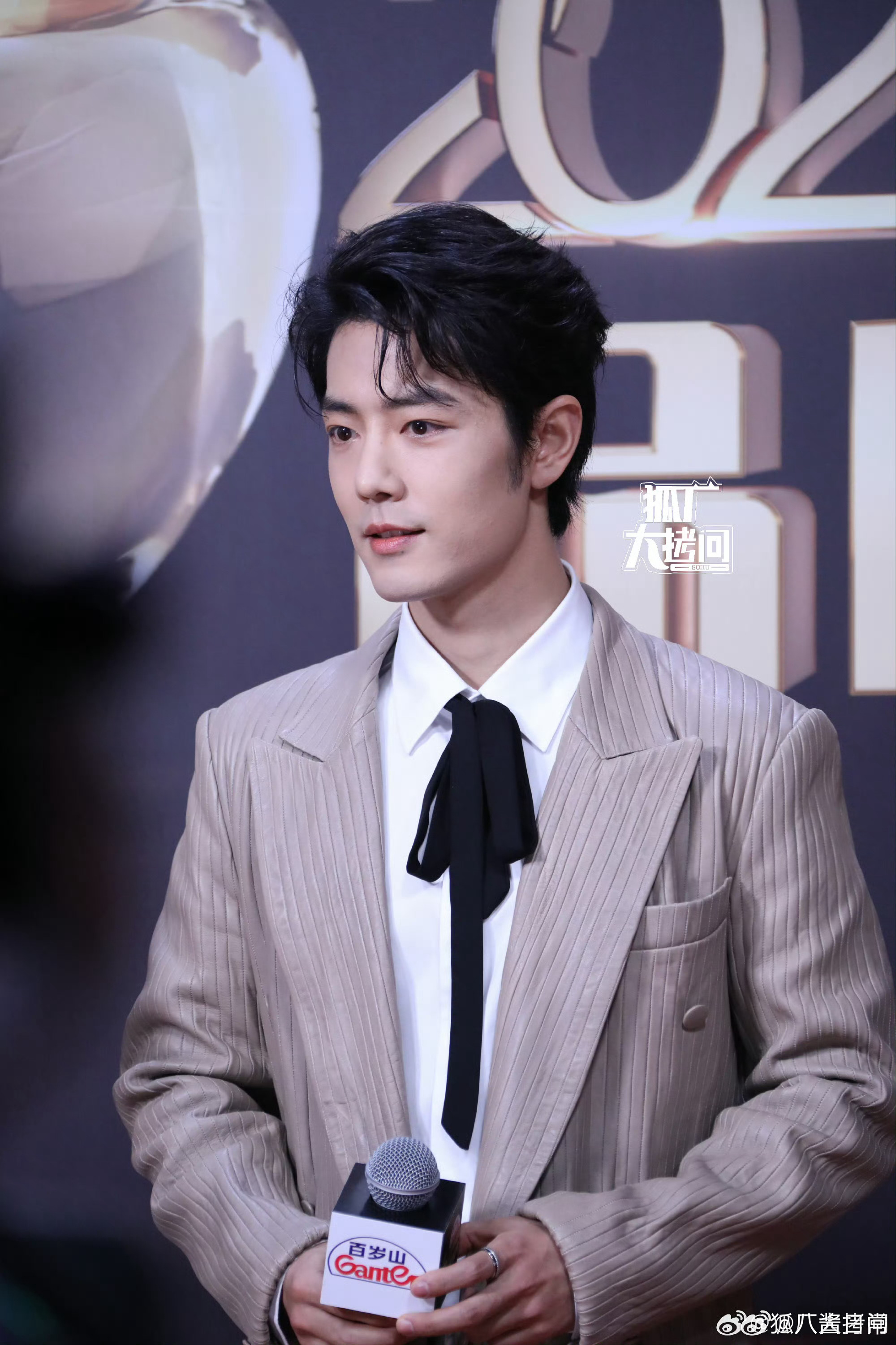 肖战白敬亭等众星亮相电视剧品质盛典红毯