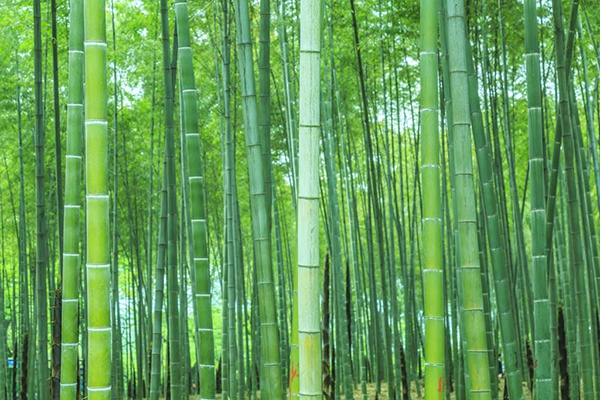 钱江旗下电动品牌亮相北京国际摩托车展览会