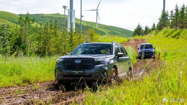 懂车的人也不一定买，森林人为什么注定小众？
