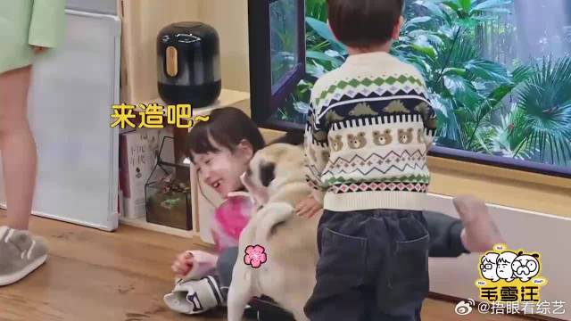 张拿铁奶声奶气叫“毛毛”，毛不易一脸老父亲表情，太逗