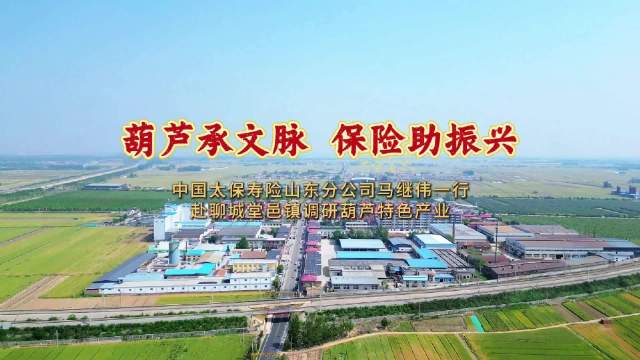 葫芦承文脉 保险助振兴