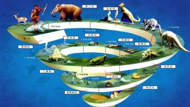 蓝色血液活化石鲎 海底鸳鸯为何濒临灭绝