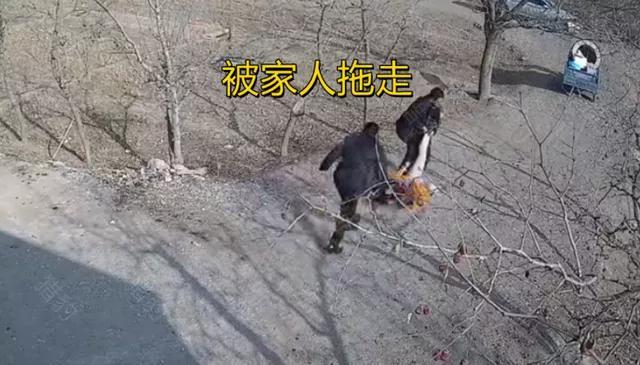 博主称拿不出50万彩礼,女友被父母强行拖走休闲区蓝鸢梦想 - Www.slyday.coM 博主称拿不出50万彩礼,女友被父母强行拖走休闲区蓝鸢梦想 - Www.slyday.coM