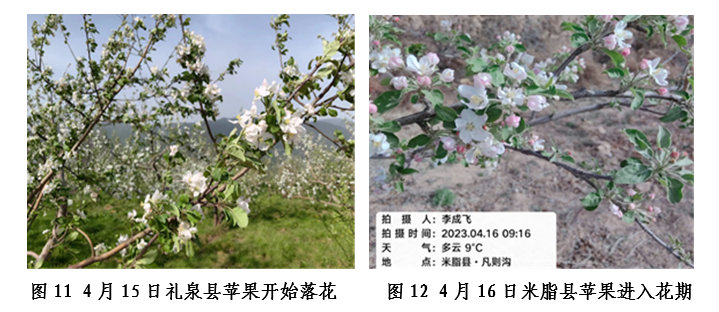 预计20休闲区蓝鸢梦想 - Www.slyday.coM 预计20休闲区蓝鸢梦想 - Www.slyday.coM