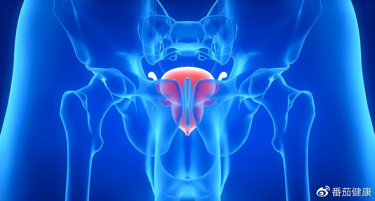 耳鸣发作性睡病成因 济世促醒汤疗效解析