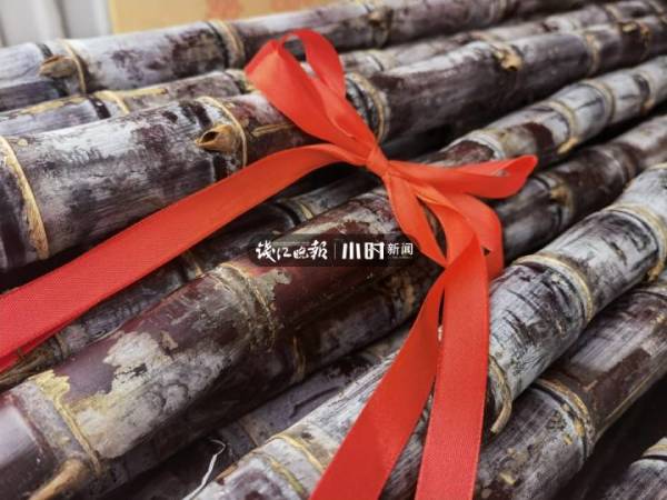 扛着甘蔗五花肉冲上热搜的浙江男孩找到了!小时新闻对话他的班主任休闲区蓝鸢梦想 - Www.slyday.coM 扛着甘蔗五花肉冲上热搜的浙江男孩找到了!小时新闻对话他的班主任休闲区蓝鸢梦想 - Www.slyday.coM