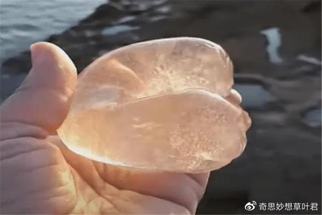 澳洲海滩上的“果冻状”物体,千万不能捏,里面都是小生命!