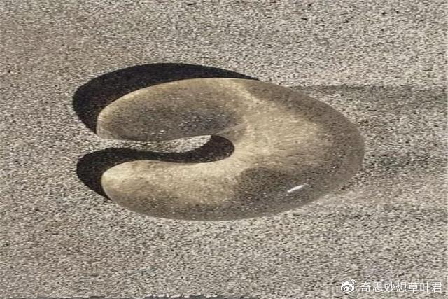 澳洲海滩上的“果冻状”物体,千万不能捏,里面都是小生命!