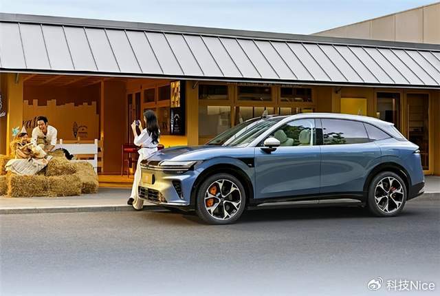 极氪销售咒顾客“买命”，官方连夜开除两人，管理层也被追责