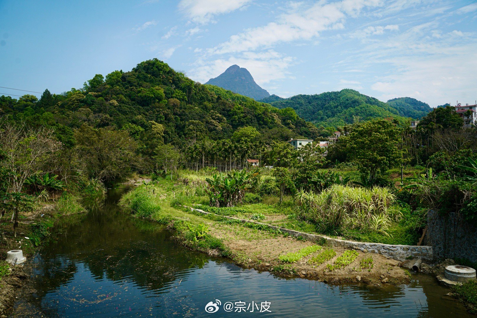 来海南这么多次终于见到了五指山……