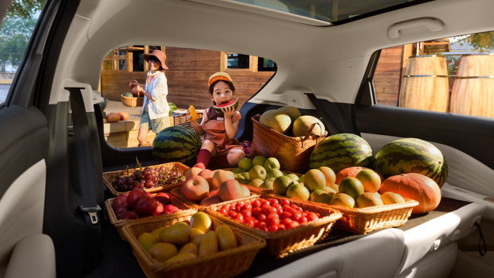 6.28万元起，极狐T1携“两大终身特权、九大尊享礼遇”正式上市