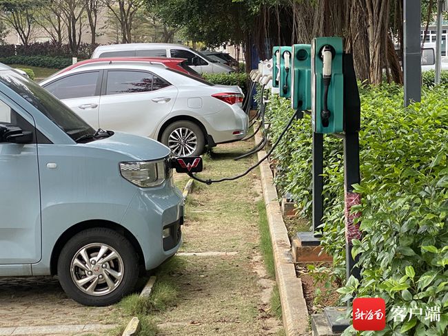 新海南财经观察 新能源车险暴涨？海南保险业人士：车险涨跌因车因人而异