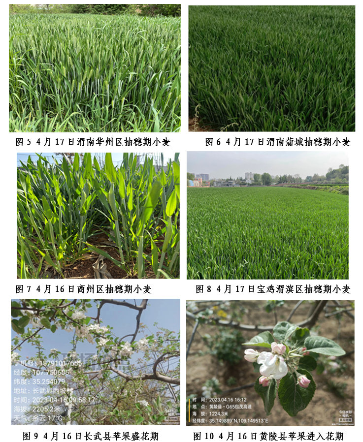 预计20休闲区蓝鸢梦想 - Www.slyday.coM 预计20休闲区蓝鸢梦想 - Www.slyday.coM