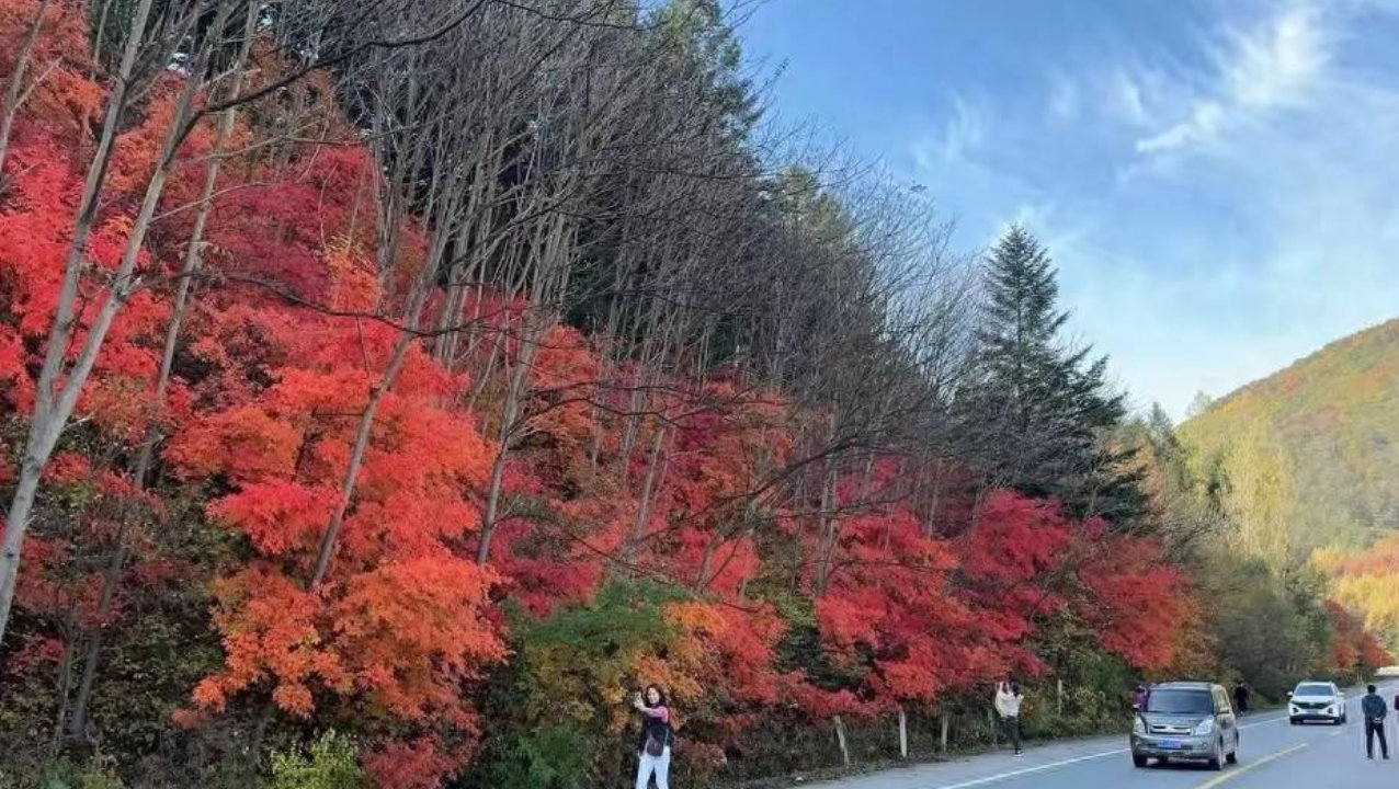 本溪本桓公路凭什么成为中国赏枫天花板