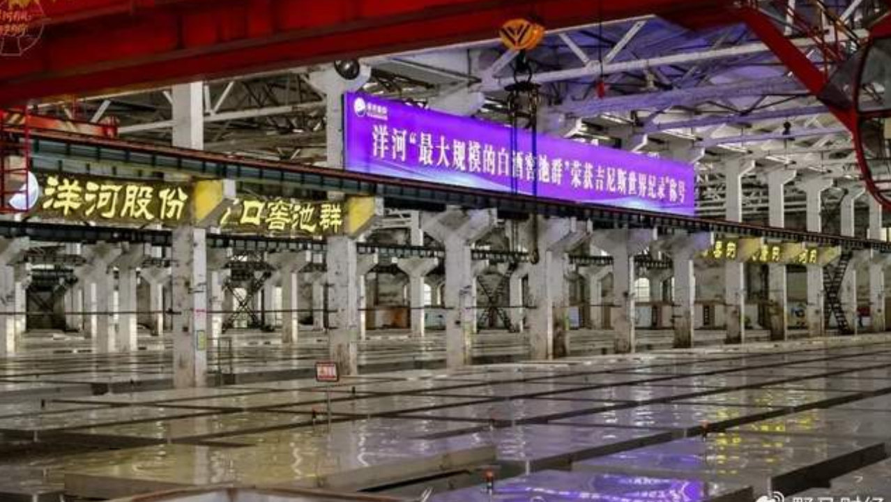 刀刃向内、自我变革，洋河股如何进行内部重塑？