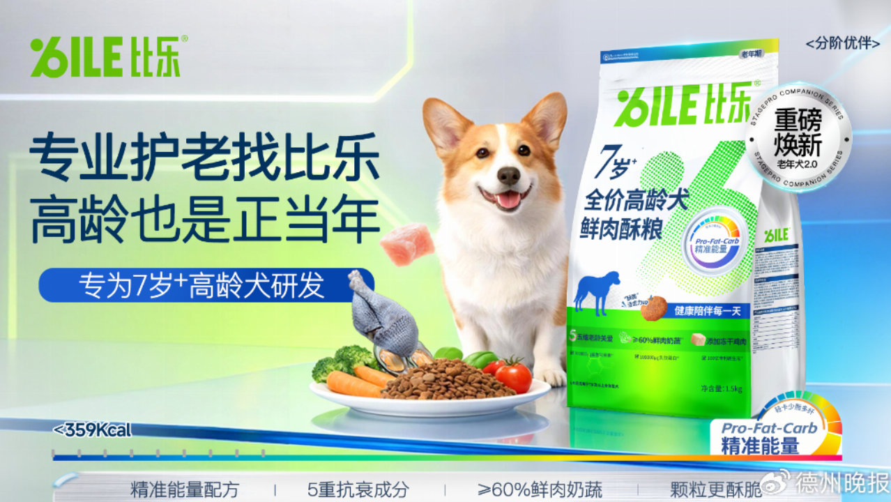 老年犬关节养护粮测评：比乐、皇家、冠能、渴望、麦富迪五大品牌盘点