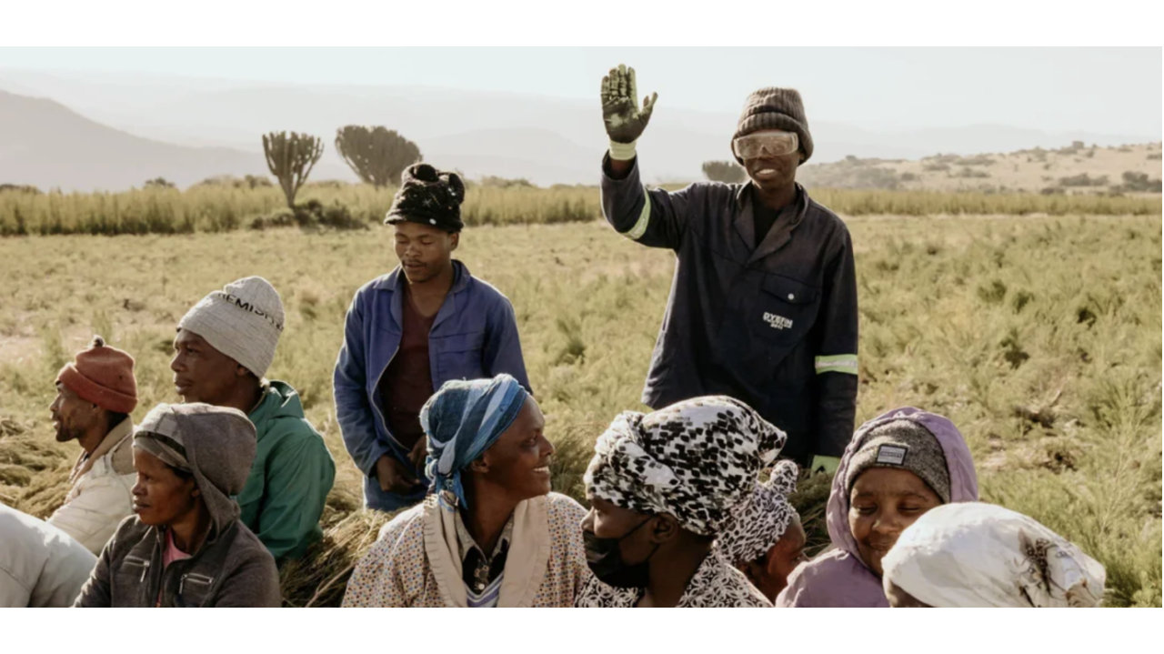 芳疗之外：farfalla与自然社会的共生之路