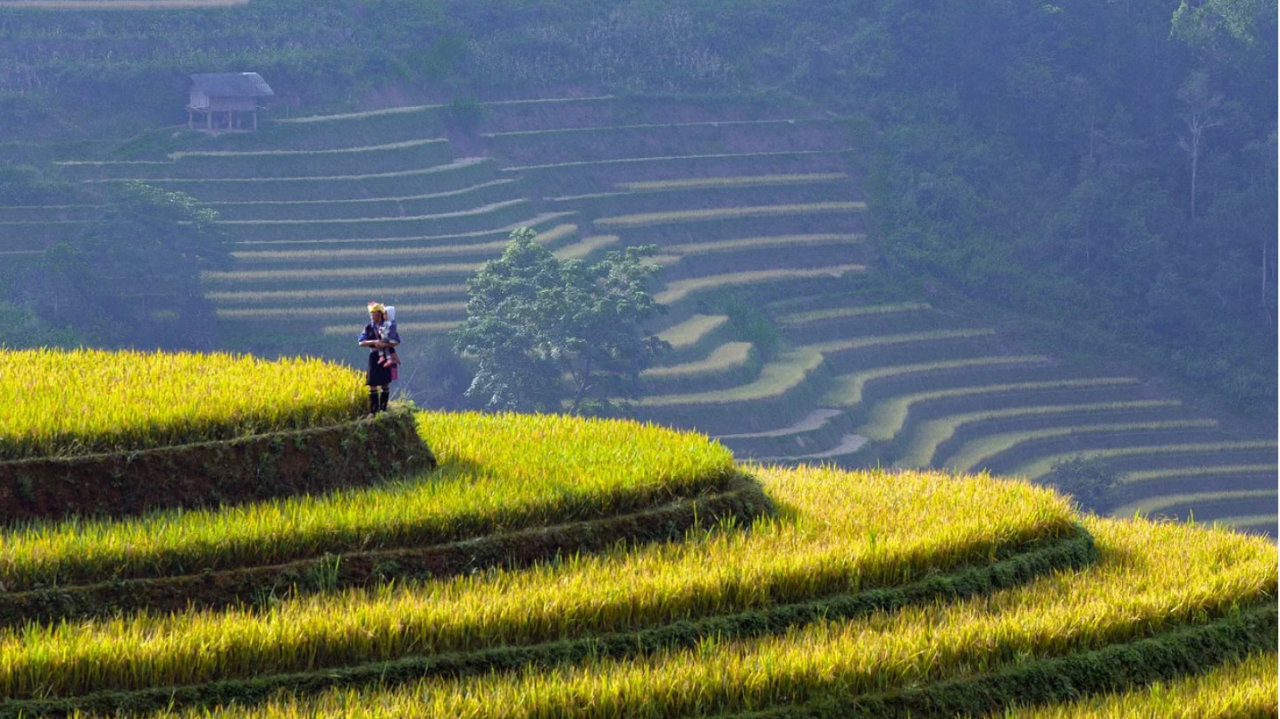 三月A股涨跌分化：银行电力逆势上涨，退市股大幅领跌