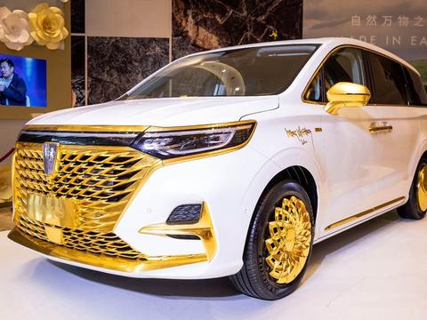 国产奢华MPV车型，造型高端大气有档次，开出去不怕没面子