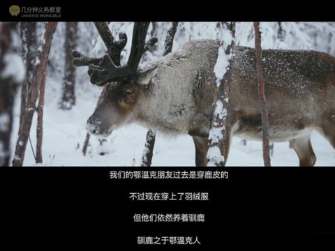 上汽奥迪A5L穿越林海与驯鹿同框，quattro冰面稳健如驯鹿四蹄